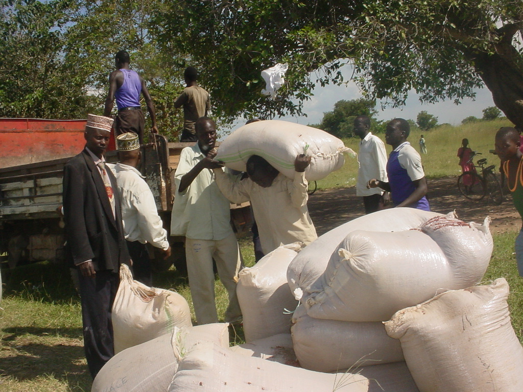A group of men are together between a truck and a pile of large white sacks filled and tied. A man lifts a sack onto his shoulders with the help of another man.