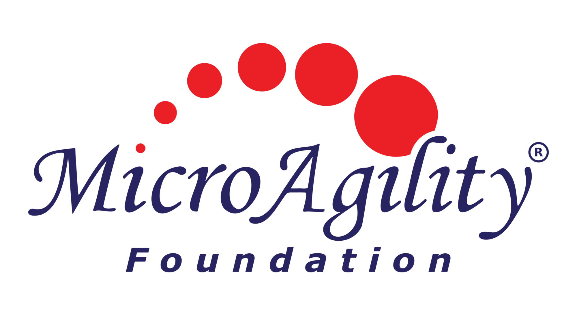 MicroAgility Foundation
