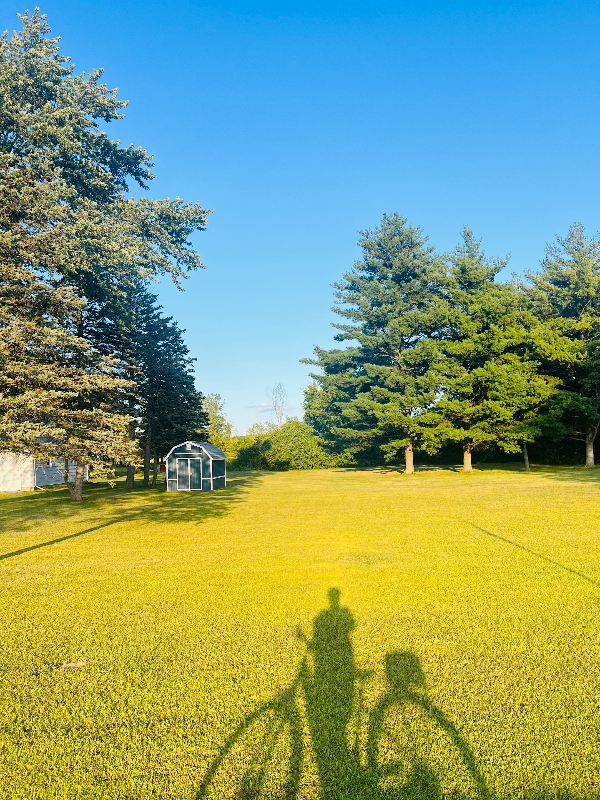 Image of a shadow of a bicycle against a yellow field