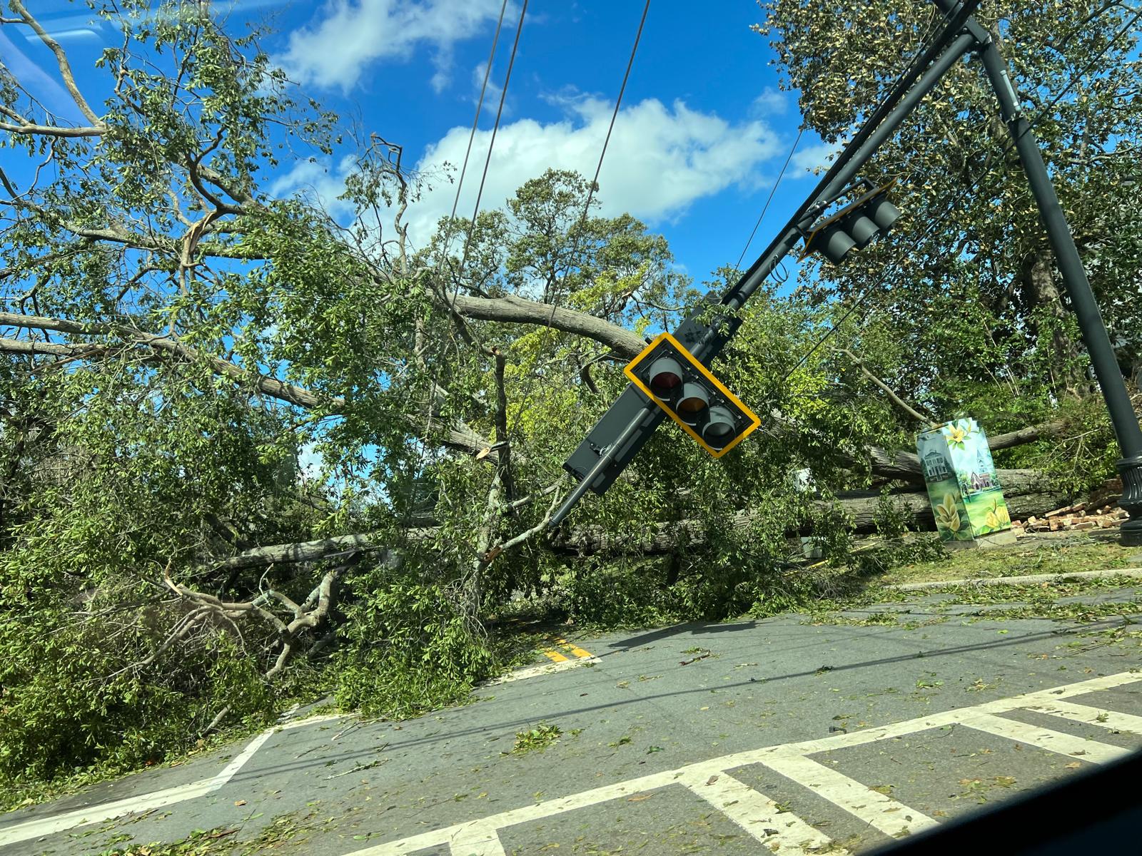 DR Helene Augusta downed traffic light