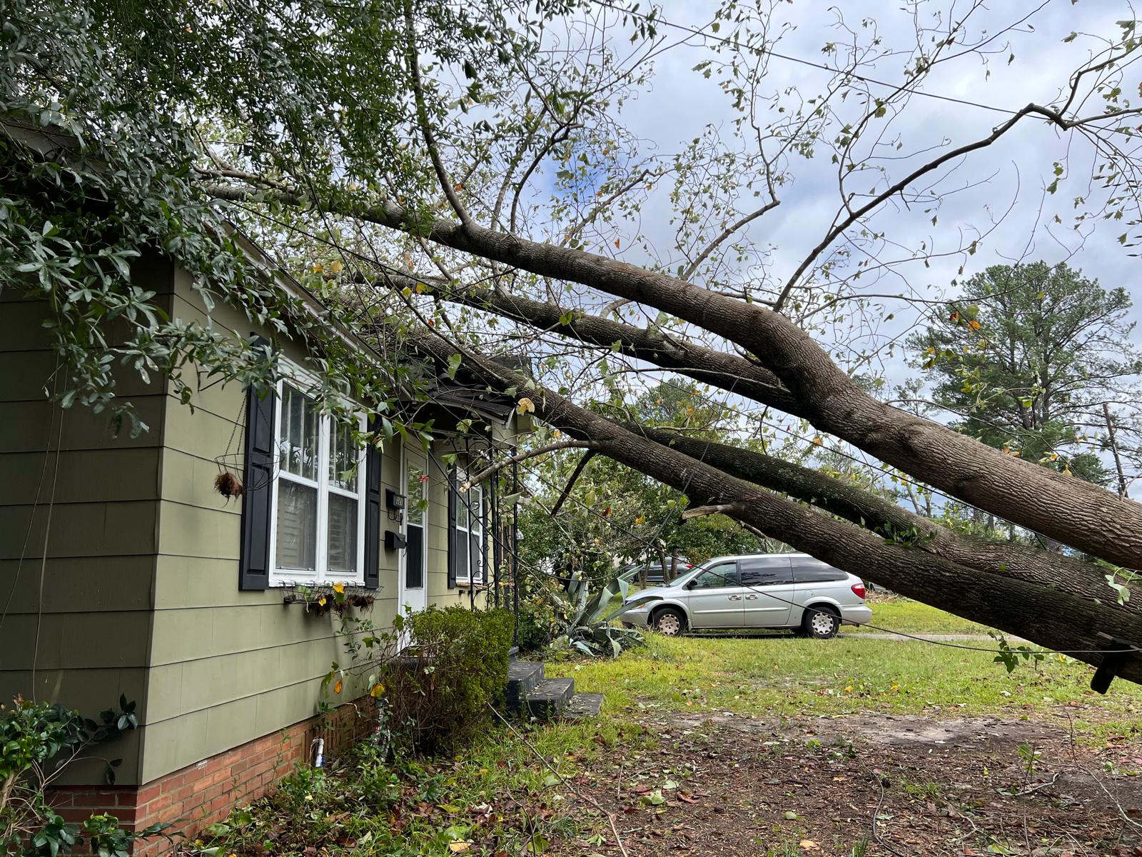 DR Helene Augusta tree on house