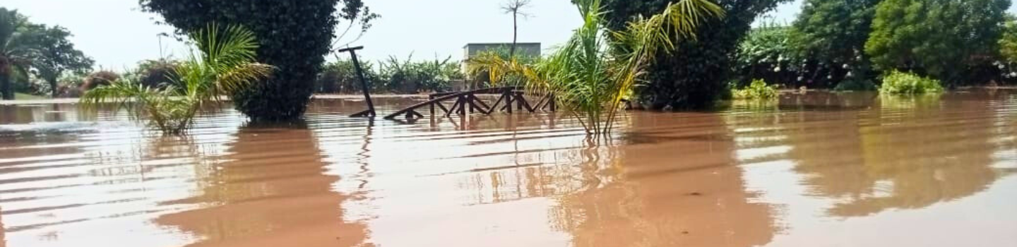 Water rising, trees half covered a walking bride half sunk.