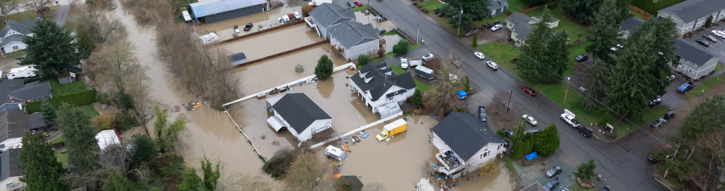 Untitled (1440 x 380 px) (1)