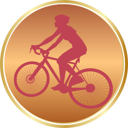 WRB 2025 USA bronze medal transparent