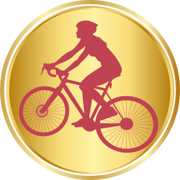 WRB 2025 USA gold medal transparent