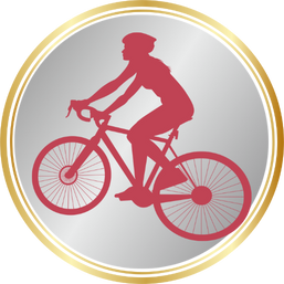 WRB 2025 USA silver medal transparent